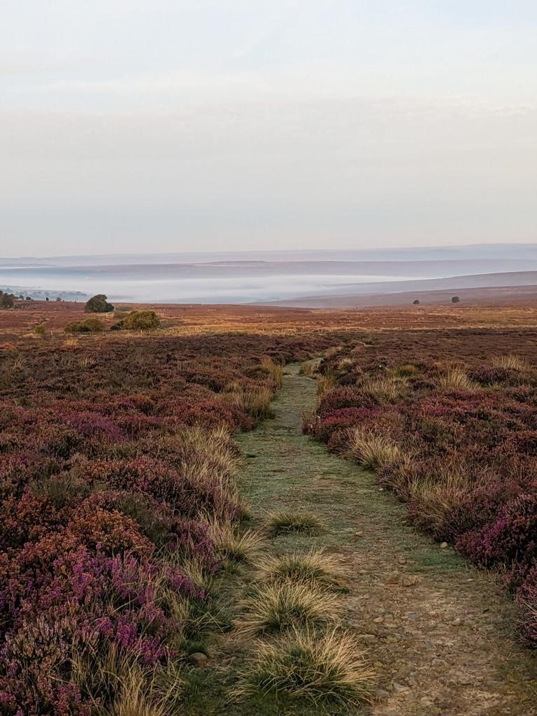 Morning moorland route