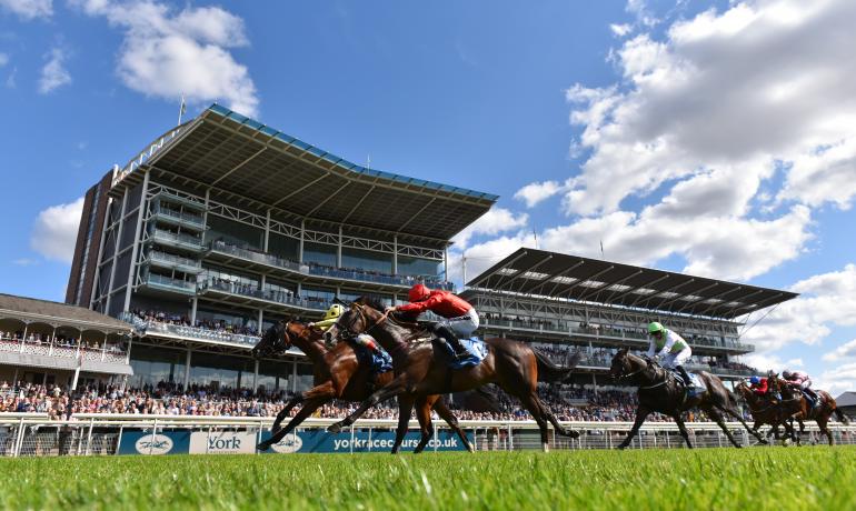 York Racecourse